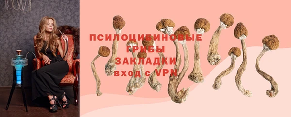 кокс Покачи