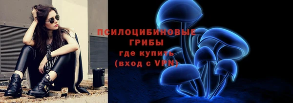дмт Покров