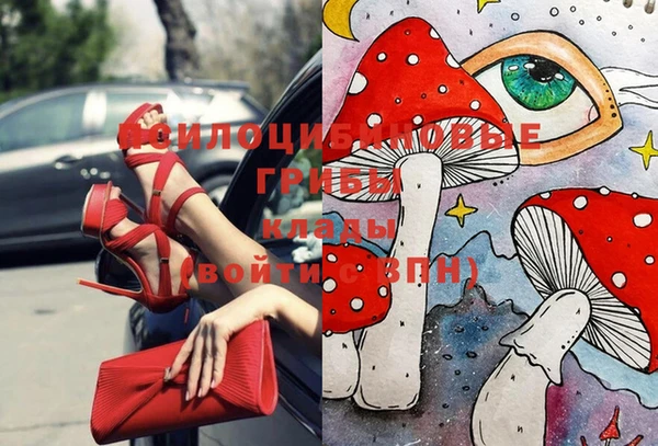 дмт Покров