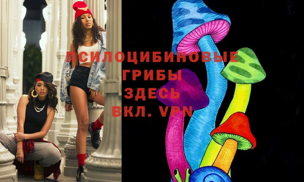 стаф Абинск