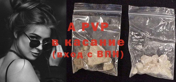 стаф Абинск