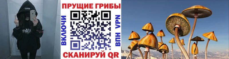 Галлюциногенные грибы MAGIC MUSHROOMS  Кумертау 
